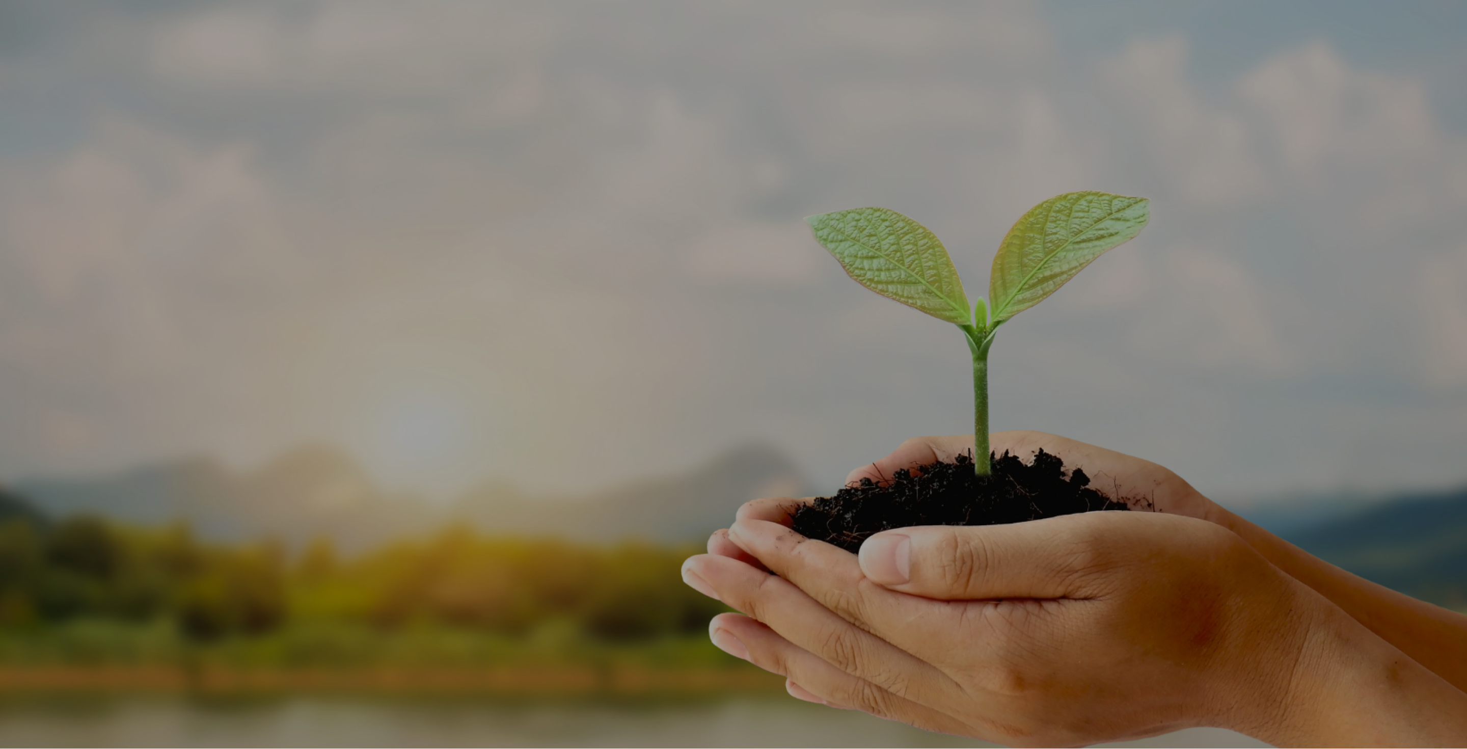 coaching and mindfulness